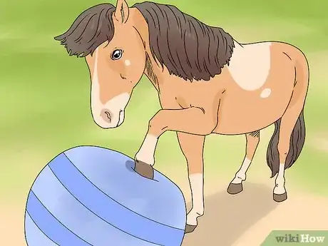 Image titled "Play" with Your Horse_Pony Step 5